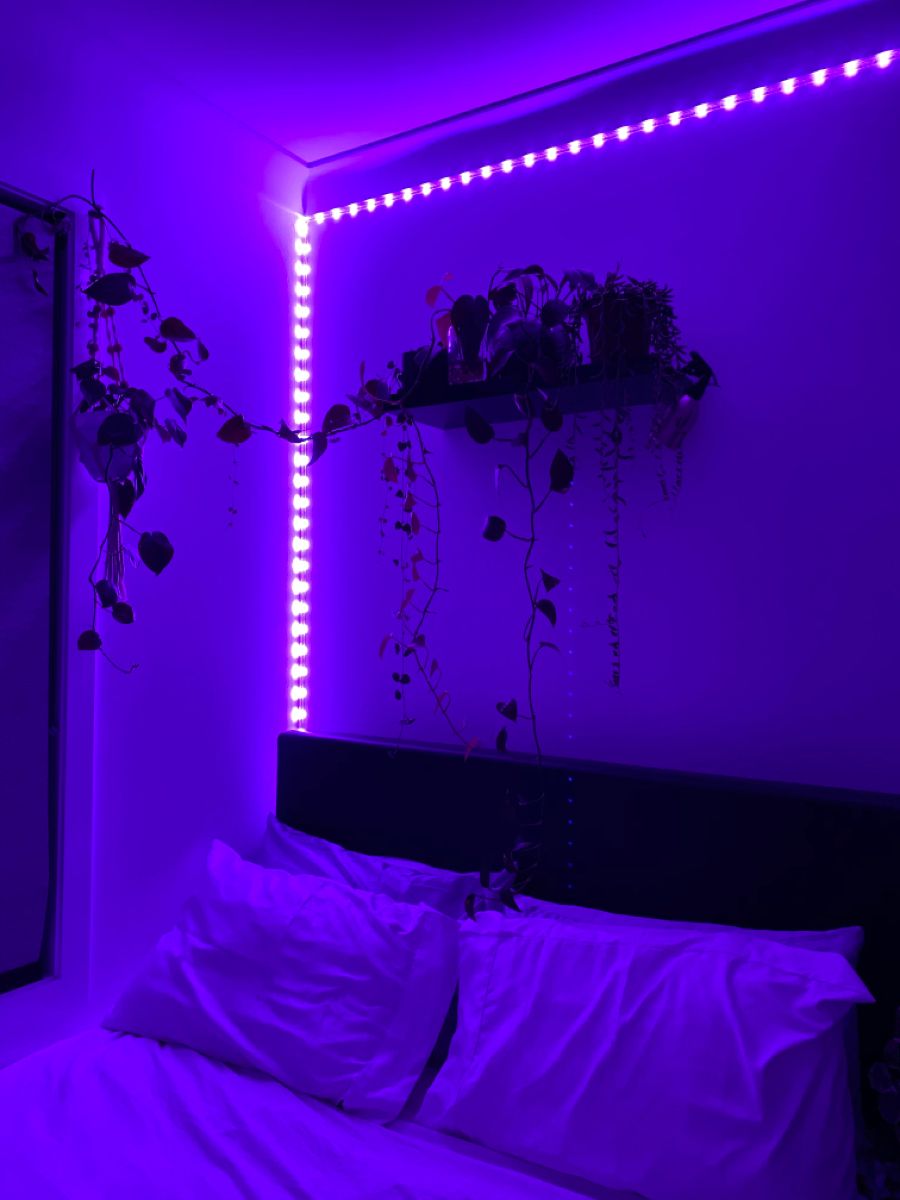 Featured image of post Blue And Purple Led Lights Room