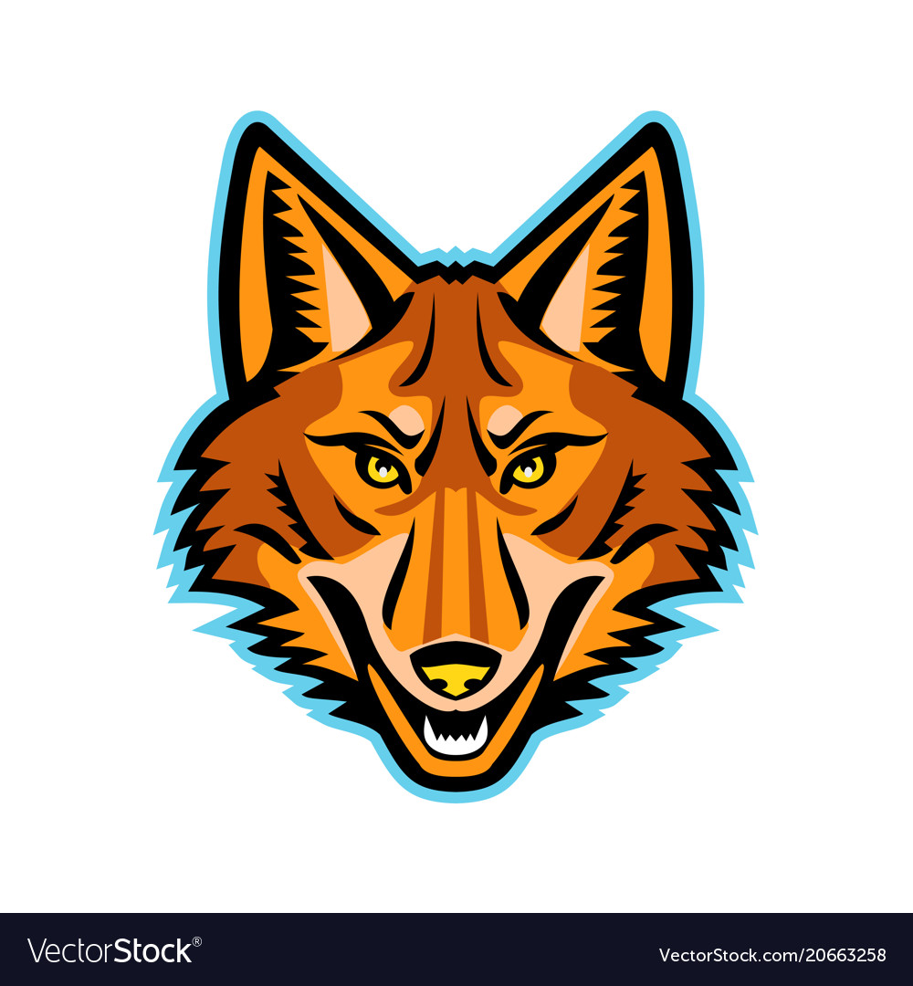 Featured image of post Coyote Vector Image