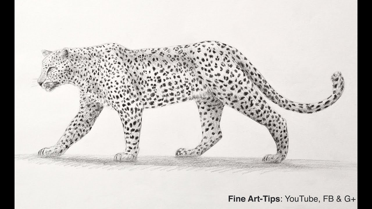 Featured image of post Leopard Images Drawing
