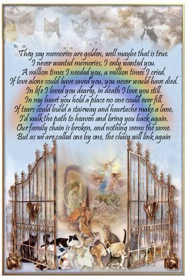 Featured image of post Rainbow Bridge Pictures Free