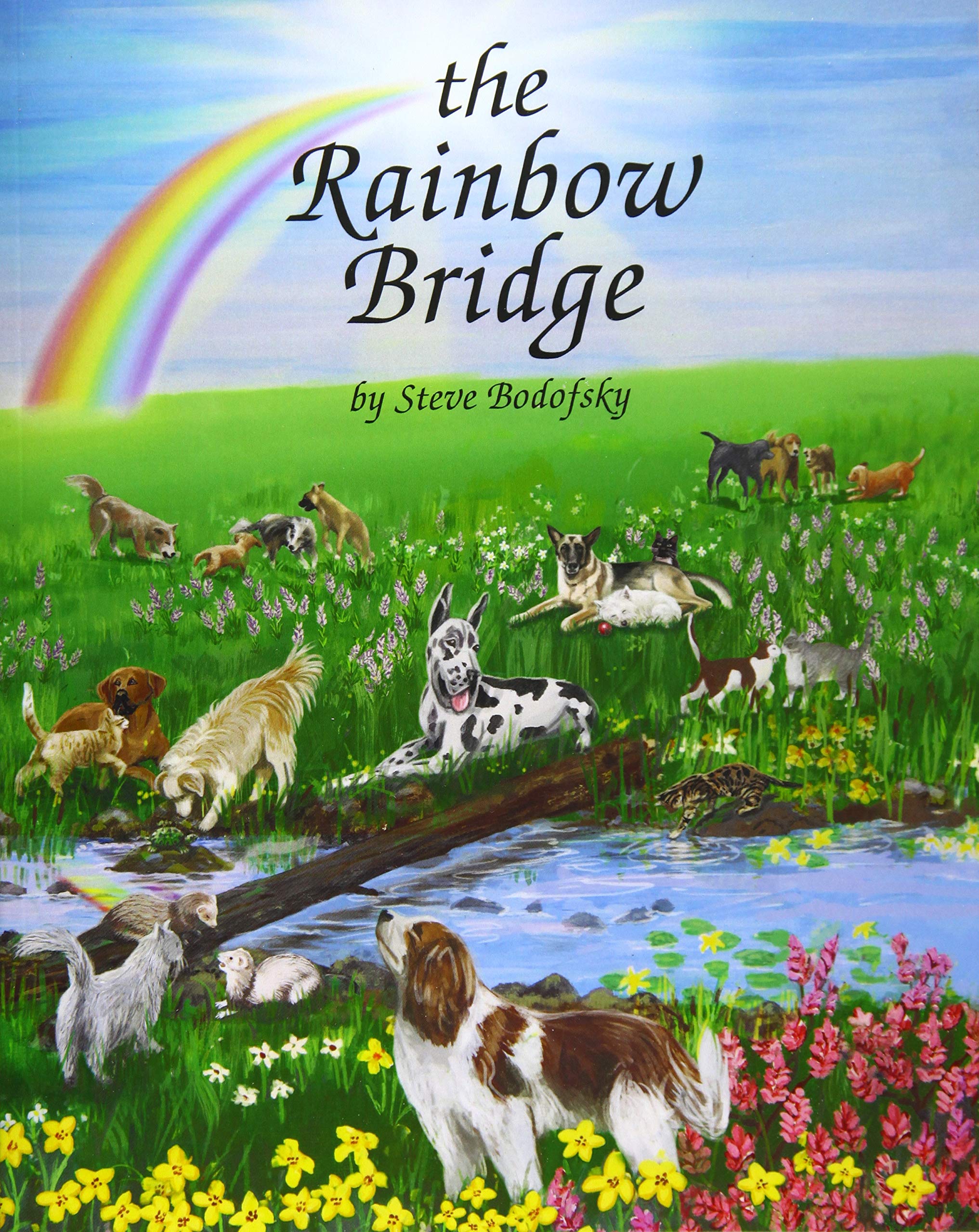 Featured image of post Rainbow Bridge Pictures
