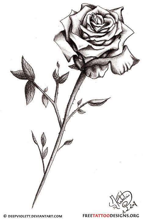 Featured image of post Rose And Stem Tattoo Drawing