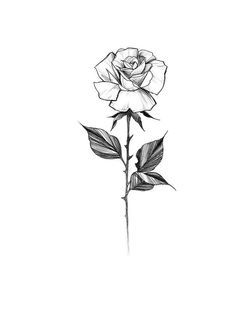 Featured image of post Rose And Stem Tattoo Stencil