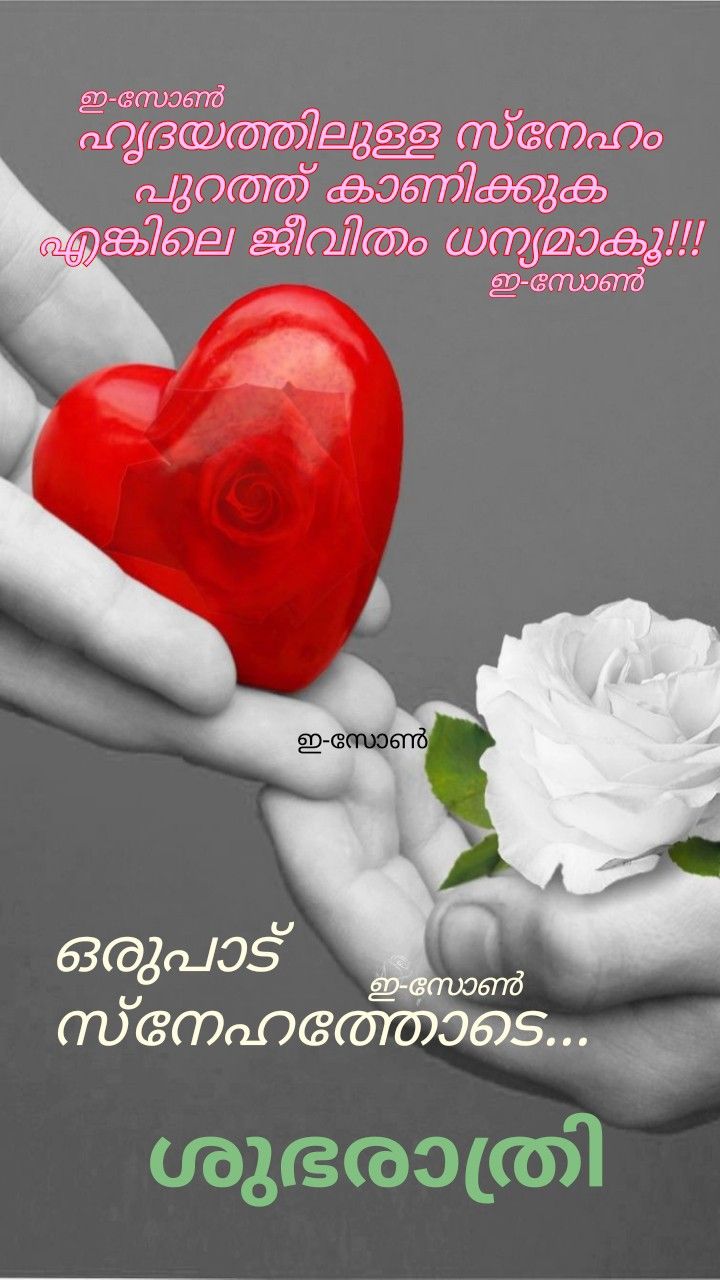 Featured image of post Sweet Romantic Good Night Wishes Malayalam