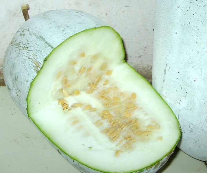 Featured image of post White Gourd Fruit